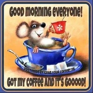 Meet your Posher, Marilyn